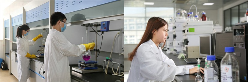 Semaglutide synthesis Semaglutide synthesis