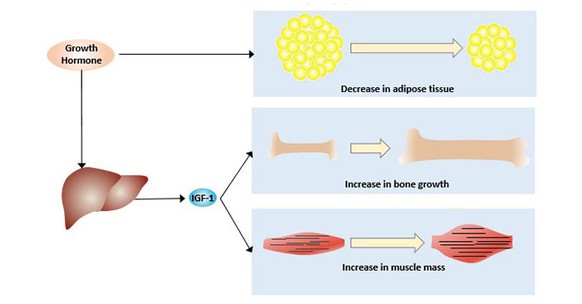 info-700-366 info-700-366