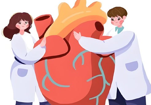 L-4-(2-Amino-1-hydroxyethyl)-1,2-benzenediol bitartrate | Shaanxi BLOOM Tech Co., Ltd L-4-(2-Amino-1-hydroxyethyl)-1,2-benzenediol bitartrate | Shaanxi BLOOM Tech Co., Ltd