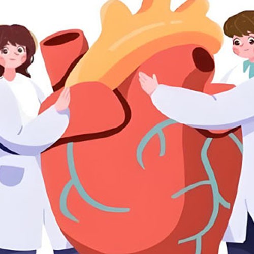 Noradrenaline Acid Tartrate use | Shaanxi BLOOM Tech Co., Ltd Noradrenaline Acid Tartrate use | Shaanxi BLOOM Tech Co., Ltd