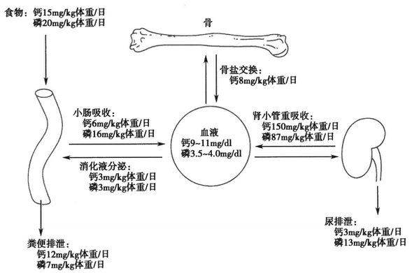 Mots-C Peptide uses CAS 1627580-64-6 | Shaanxi BLOOM Tech Co., Ltd Mots-C Peptide uses CAS 1627580-64-6 | Shaanxi BLOOM Tech Co., Ltd