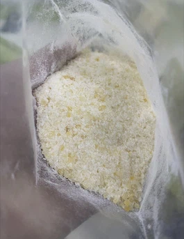 Larocaine Hydrochloride CAS 553-63-9 | Shaanxi BLOOM Tech Co., Ltd Larocaine Hydrochloride CAS 553-63-9 | Shaanxi BLOOM Tech Co., Ltd