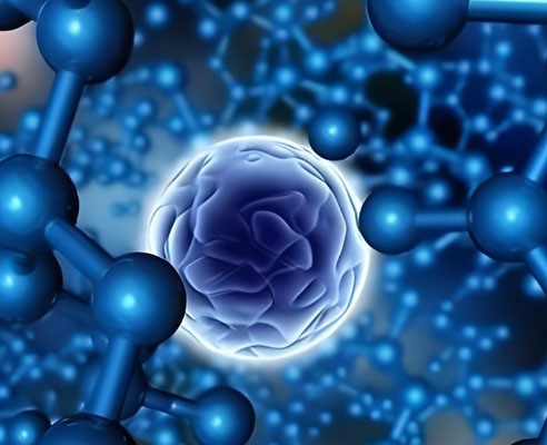 NAD+ peptide injection use | Shaanxi BLOOM Tech Co., Ltd NAD+ peptide injection use | Shaanxi BLOOM Tech Co., Ltd