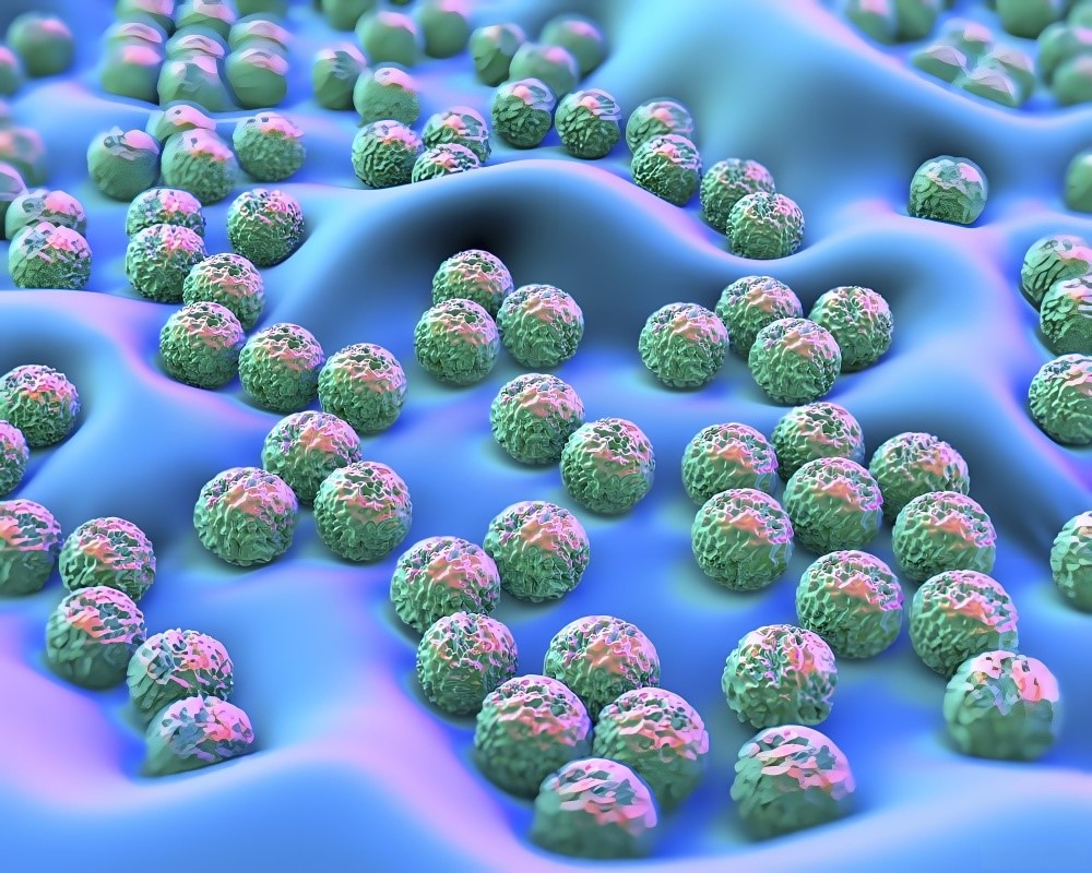 Spermidine Powder use | Shaanxi BLOOM Tech Co., Ltd Spermidine Powder use | Shaanxi BLOOM Tech Co., Ltd