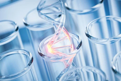 SLU-PP-332 for sale | Shaanxi BLOOM Tech Co., Ltd SLU-PP-332 for sale | Shaanxi BLOOM Tech Co., Ltd