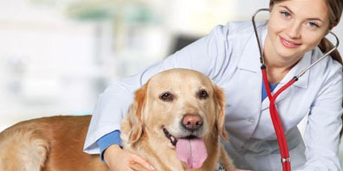 Fluralaner For sale | Shaanxi BLOOM Tech Co., Ltd Fluralaner For sale | Shaanxi BLOOM Tech Co., Ltd