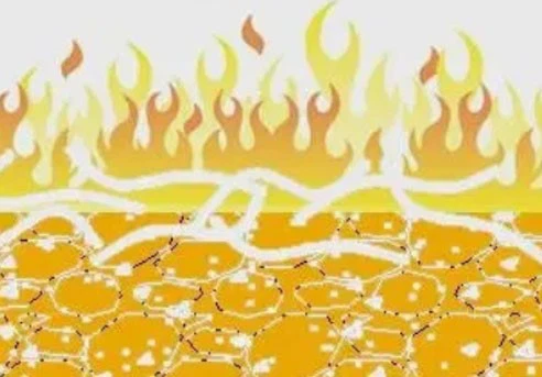 Bioglutide NA-931 Sensitivity | Shaanxi BLOOM Tech Co., Ltd Bioglutide NA-931 Sensitivity | Shaanxi BLOOM Tech Co., Ltd