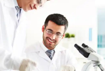 SLU-PP-332 Cost | Shaanxi BLOOM Tech Co., Ltd SLU-PP-332 Cost | Shaanxi BLOOM Tech Co., Ltd