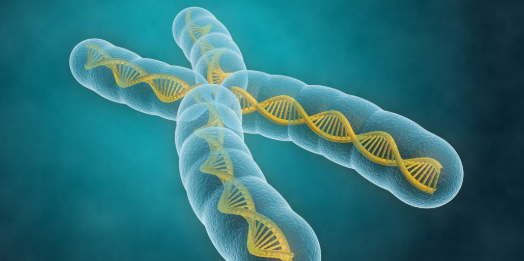 SLU-PP-332 price | Shaanxi BLOOM Tech Co., Ltd SLU-PP-332 price | Shaanxi BLOOM Tech Co., Ltd