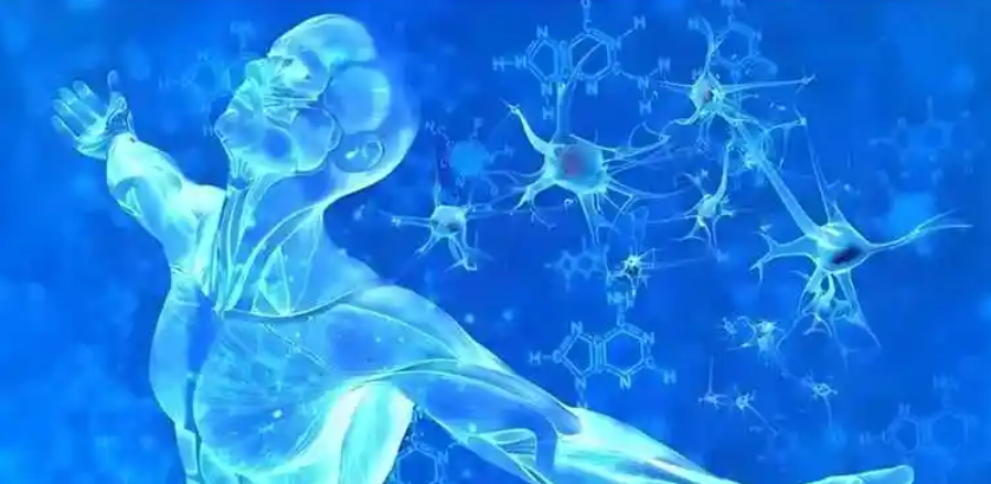 SLU-PP-332 Influence On Basal Metabolic Rate | Shaanxi BLOOM Tech Co., Ltd SLU-PP-332 Influence On Basal Metabolic Rate | Shaanxi BLOOM Tech Co., Ltd