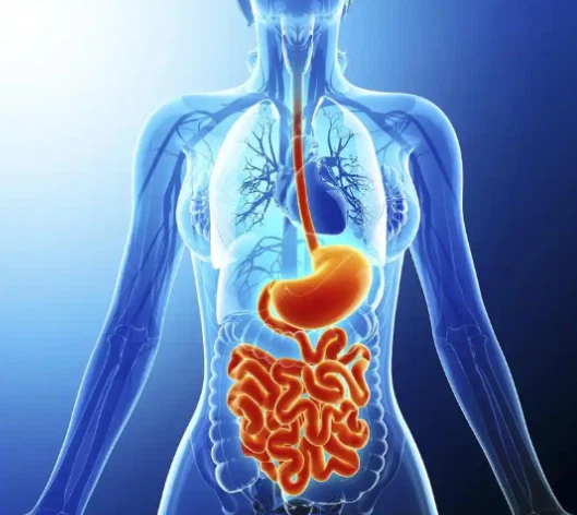 Bioglutide NA-931 price | Shaanxi BLOOM Tech Co., Ltd Bioglutide NA-931 price | Shaanxi BLOOM Tech Co., Ltd