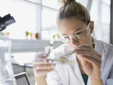 1-Methyl-4-piperidone | Shaanxi BLOOM Tech Co., Ltd 1-Methyl-4-piperidone | Shaanxi BLOOM Tech Co., Ltd