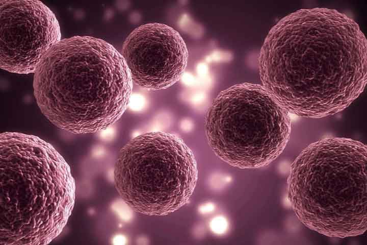 Vinyl acetate uses | Shaanxi BLOOM Tech Co., Ltd Vinyl acetate uses | Shaanxi BLOOM Tech Co., Ltd